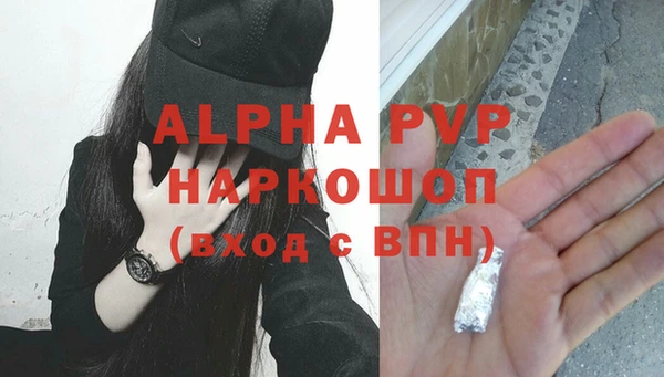прущие грибы Заводоуковск
