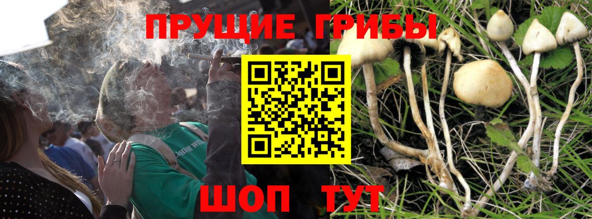 Казань  Псилоцибиновые грибы ЛСД  Вход с VPN 