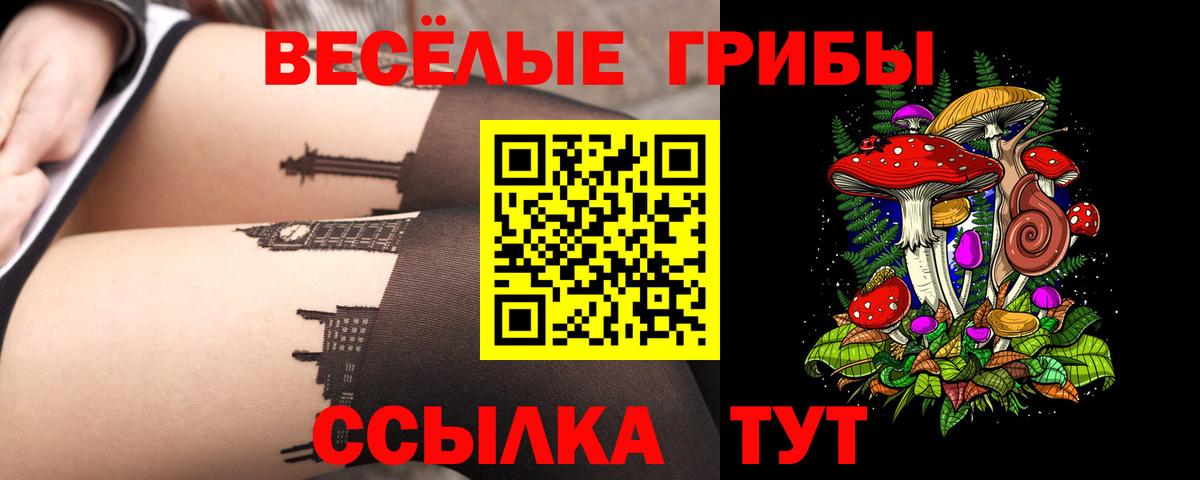 Галлюциногенные грибы мухоморы Казань
